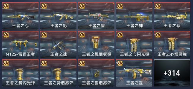 穿越火线：枪战王者V8 490英雄武器 新锐