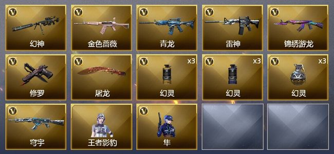 穿越火线（CF）17V武器 1V角色 6皮肤 可排位