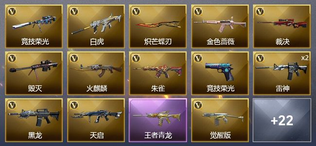 穿越火线（CF）2王者武器 33V武器 2V角色 17皮肤 可排位 传奇