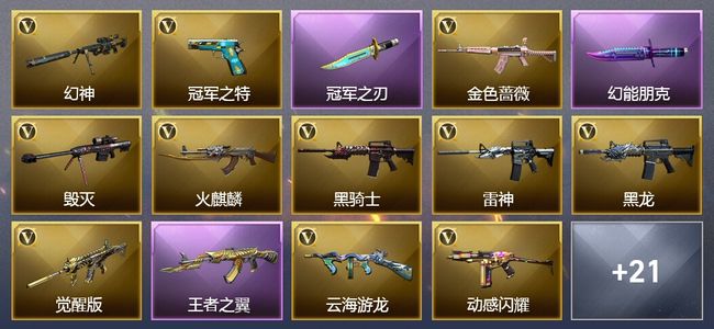 穿越火线（CF）1王者武器 28V武器 1V角色 14皮肤 可排位 新锐