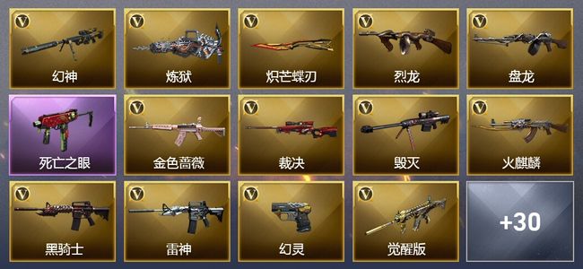穿越火线（CF）4炫金武器 53V武器 1V角色 15皮肤 可排位 枪王