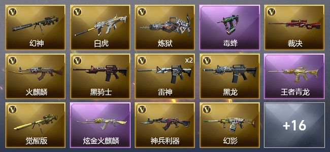 穿越火线（CF）1王者武器 1炫金武器 30V武器 10皮肤 可排位 传奇