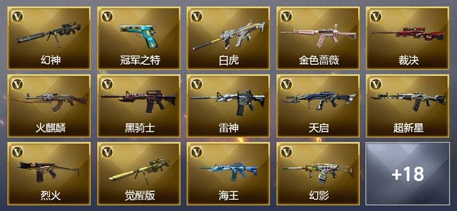 穿越火线（CF）30V武器 1V角色 13皮肤 可排位 枪王