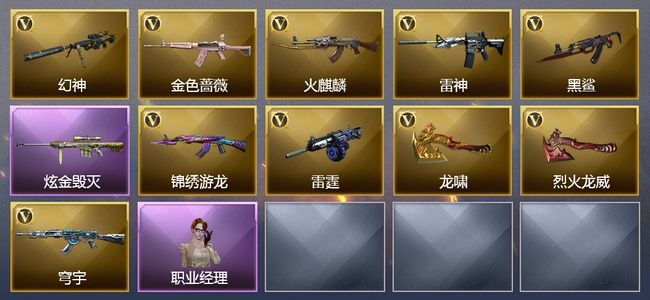 穿越火线（CF）1炫金武器 10V武器 6皮肤 可排位 枪王