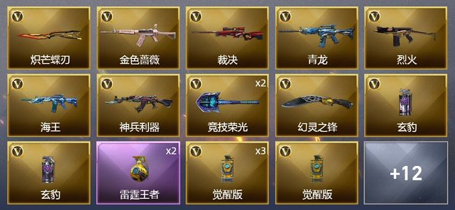 穿越火线（CF）1王者武器 35V武器 2皮肤 可排位 新锐