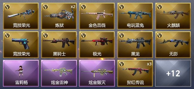 穿越火线（CF）2炫金武器 49V武器 2V角色 5皮肤 可排位 枪王