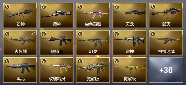 穿越火线（CF）5王者武器 1炫金武器 41V武器 1V角色 18皮肤 可排位 枪王