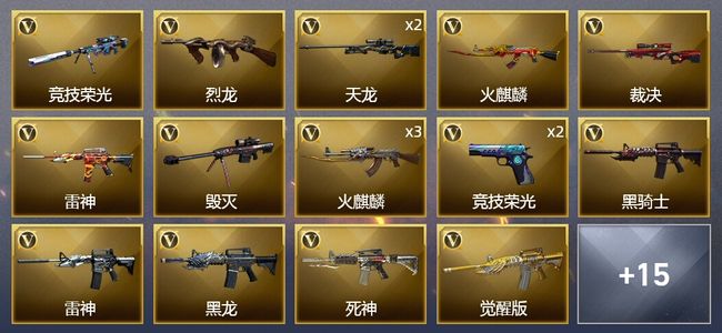 穿越火线（CF）1炫金武器 46V武器 1V角色 13皮肤 可排位 新锐