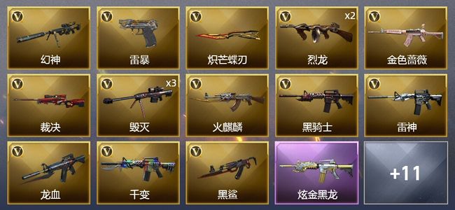 穿越火线（CF）1王者武器 3炫金武器 28V武器 1V角色 10皮肤 可排位
