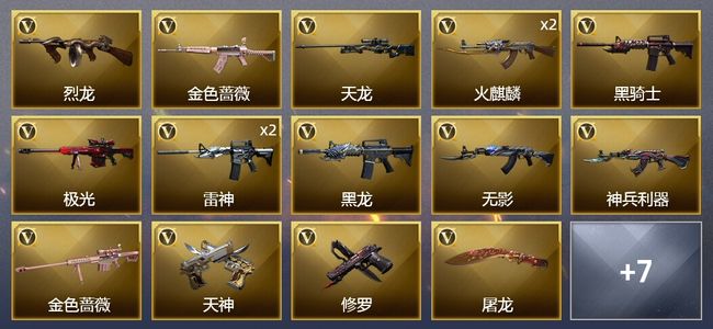 穿越火线（CF）17V武器 7皮肤 可排位 枪王