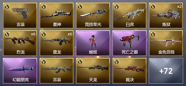 穿越火线（CF）6王者武器 3炫金武器 95V武器 3V角色 19皮肤 可排位 专家