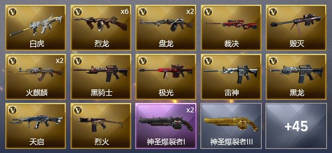 穿越火线（CF）1王者武器 1炫金武器 45V武器 2V角色 19皮肤 可排位