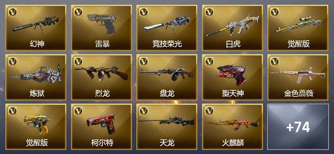 穿越火线（CF）27王者武器 135V武器 32V角色 51皮肤 可排位