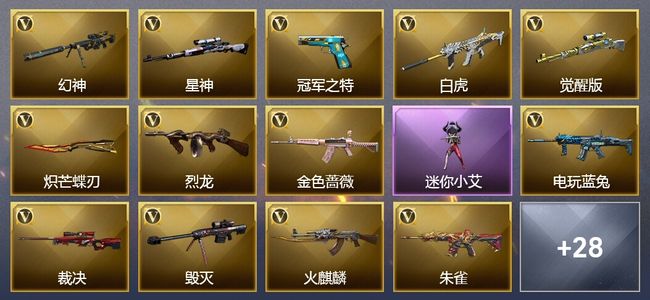 穿越火线（CF）2王者武器 1炫金武器 47V武器 30V角色 22皮肤 可排位