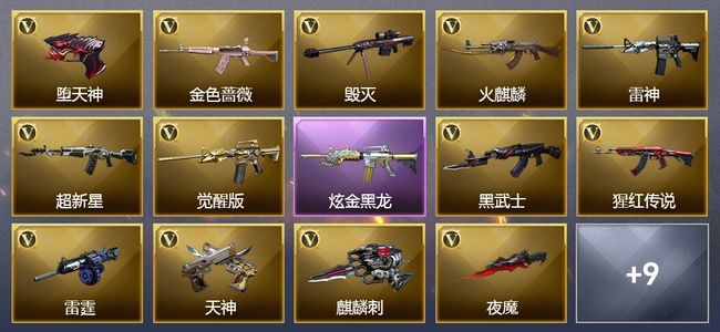 穿越火线（CF）1王者武器 1炫金武器 23V武器 9V角色 6皮肤 可排位