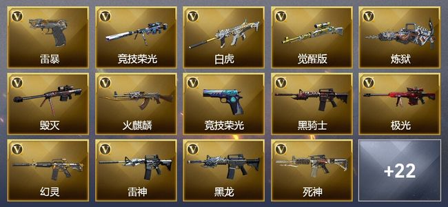 穿越火线（CF）5王者武器 1炫金武器 45V武器 14V角色 8皮肤 可排位