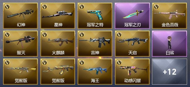 穿越火线（CF）2王者武器 28V武器 24V角色 18皮肤 可排位