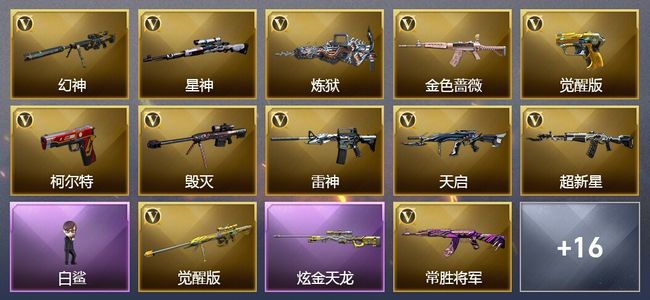 穿越火线（CF）8王者武器 1炫金武器 28V武器 13V角色 19皮肤 可排位