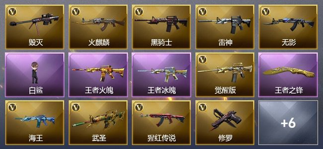 穿越火线（CF）10王者武器 16V武器 9V角色 6皮肤 可排位