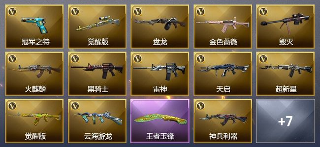 穿越火线（CF）3王者武器 17V武器 15V角色 8皮肤 可排位