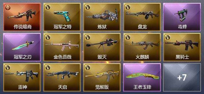 穿越火线（CF）1传说武器 4王者武器 25V武器 9V角色 7皮肤 可排位