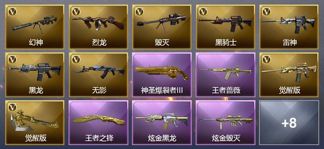 穿越火线（CF）5王者武器 2炫金武器 21V武器 10V角色 10皮肤 可排位