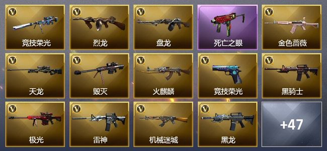 穿越火线（CF）12王者武器 7炫金武器 98V武器 24V角色 19皮肤 可排位