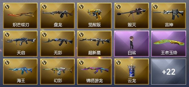 穿越火线（CF）2传说武器 3王者武器 43V武器 21V角色 9皮肤 可排位