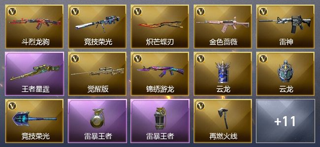 穿越火线（CF）4王者武器 30V武器 24V角色 6皮肤 可排位