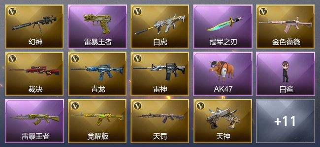 穿越火线（CF）10王者武器 15V武器 17V角色 8皮肤 可排位