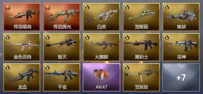 穿越火线（CF）2传说武器 2王者武器 25V武器 16V角色 5皮肤 可排位