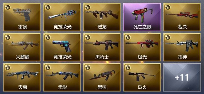 穿越火线（CF）2王者武器 48V武器 16V角色 2皮肤 可排位