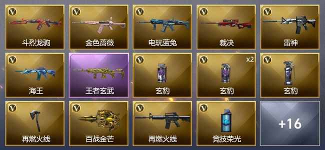 穿越火线（CF）1王者武器 22V武器 8皮肤 可排位 枪王