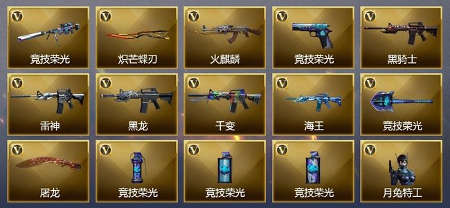 穿越火线（CF）14V武器 8V角色 6皮肤 可排位
