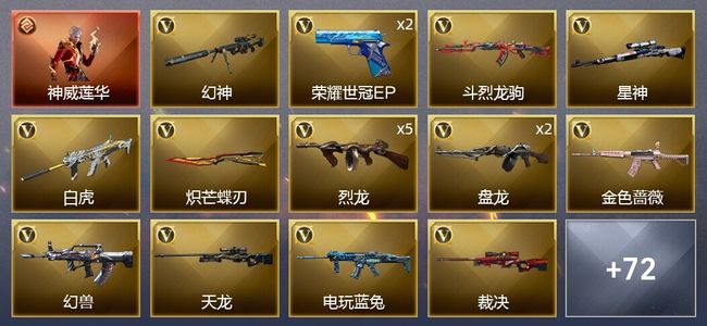 穿越火线（CF）1传说角色 4王者武器 3炫金武器 97V武器 4V角色 39皮肤 可排位 枪王