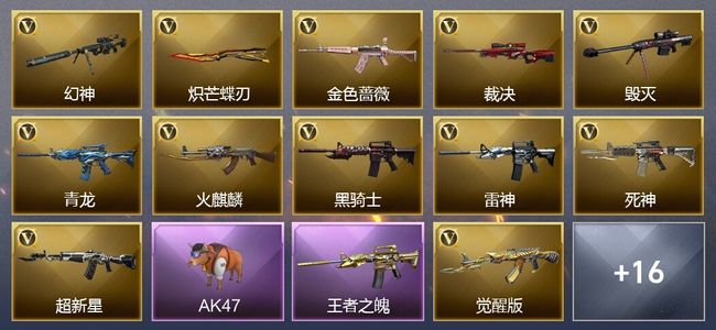 穿越火线（CF）2王者武器 27V武器 11V角色 8皮肤 可排位