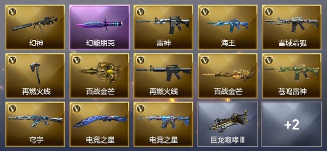 穿越火线（CF）12V武器 5皮肤 可排位 新锐