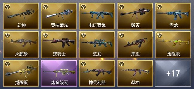 穿越火线（CF）1炫金武器 24V武器 9皮肤 可排位 新锐