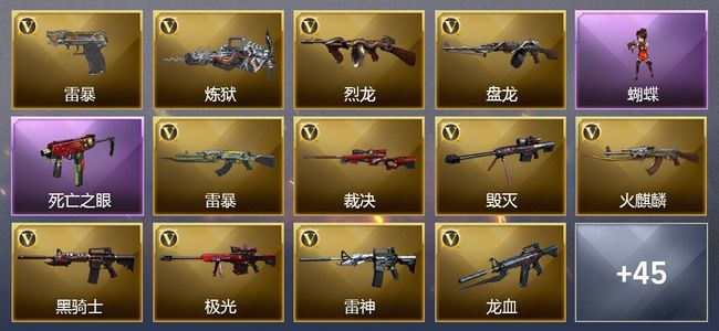 穿越火线（CF）5王者武器 78V武器 24V角色 19皮肤 可排位