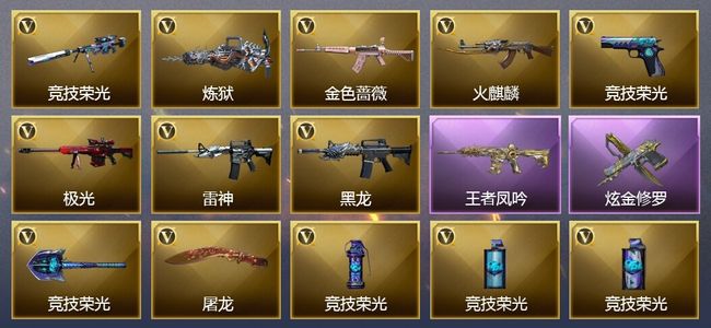 穿越火线（CF）1王者武器 1炫金武器 19V武器 16V角色 11皮肤 可排位