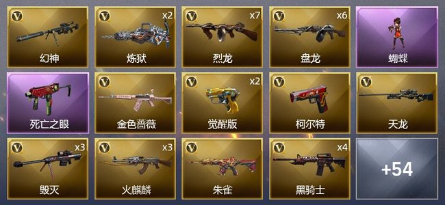 穿越火线（CF）10王者武器 3炫金武器 100V武器 3V角色 20皮肤 可排位 专家