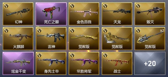 穿越火线（CF）1炫金武器 24V武器 2V角色 11皮肤 可排位 新锐