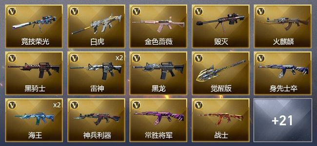 穿越火线（CF）43V武器 17皮肤 可排位 传奇