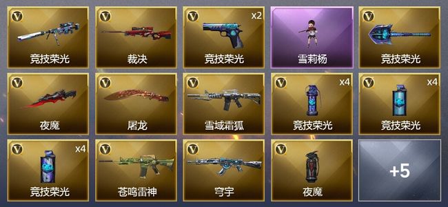 穿越火线（CF）25V武器 1V角色 3皮肤 可排位 枪王