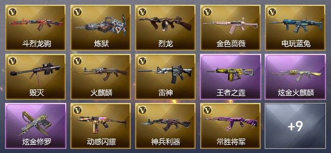 穿越火线（CF）1王者武器 2炫金武器 17V武器 10皮肤 可排位 传奇