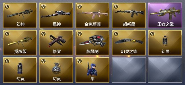 穿越火线（CF）4王者武器 17V武器 7V角色 2皮肤 可排位