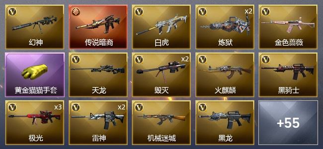 穿越火线（CF）1传说武器 4王者武器 2炫金武器 82V武器 1V角色 12皮肤 可排位 枪王