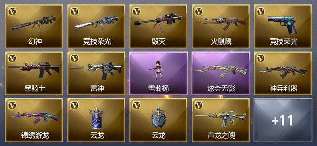 穿越火线（CF）0传说角色 0传说武器 5王者武器 1炫金武器 29V武器 16V角色 4皮肤 可排位 无