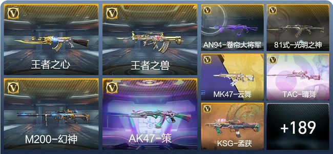 穿越火线：枪战王者V7 10王者武器 224英雄武器 2英雄角色 343万化 枪圣SSS