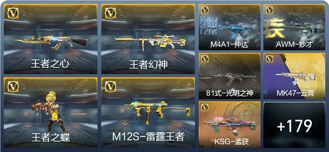 穿越火线:枪战王者V6 14王者武器 212英雄武器 2英雄角色 351万化 枪皇SSS